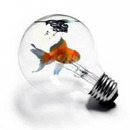 fisch in der gluehbirne