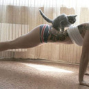 fittness