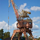 giraffe-crane