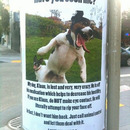 have you seen me