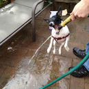 her mit dem wasser