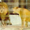 how marriage feels like