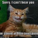 i am awesome