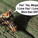 i love you more than shit 4605