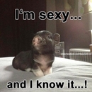 I'm sexy...
