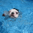 Ich will nicht baden