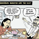 if households budgeted like gop