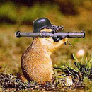 Granatwerfer Murmeltier