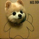 kartondog