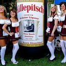 killepitch