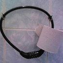 klopapier diebstahlssicherung