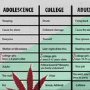 life stages and their funny effects