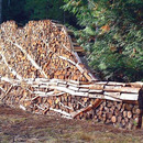 Living Wood