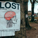 lost my brain 4070