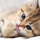 Man die ist supercute