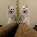 me in mirror