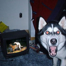 O_o