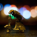 mopedfliege