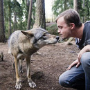 my bloody awsome wolf