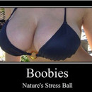 natures street ball 4125