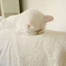 Neiiiin ich will schlafen