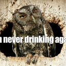 never again