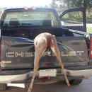 not sure how that happened