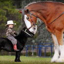outmatched