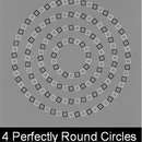 perfectly round circles