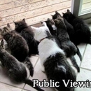 Public Viewing - Win Bild