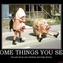 roll up your windows and keep driving