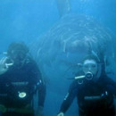 say cheese underwater