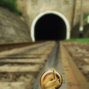 Schnecke auf Eisenbahn