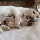 Soooooooo süüüüüüüüüß