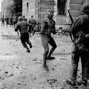 spiderman to the rescue