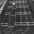 spot the looser 4959