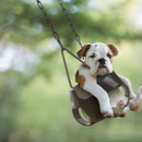 swinging bulldog 4482