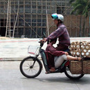 transportation