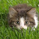 Vorsicht vor Montag!