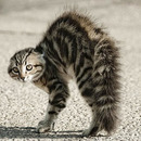 Uhh das schaut gefährlich aus