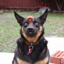 visual contact