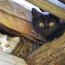 Waaaaaas ist denn da los