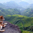 Was für eine Königliche Aussicht