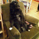 watching a scary movie