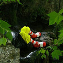 Vermisst & Keine Belohnung