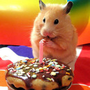 wish me a good birthday