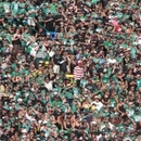 Wo ist Walter - Win Bild