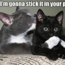 you want to know what im doing later