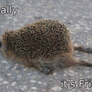 zum glueck ist freitag